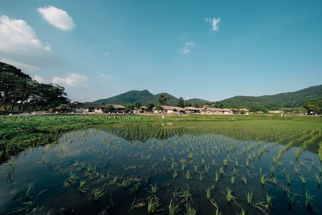 Gyeongju: Korea's Ancient Capital