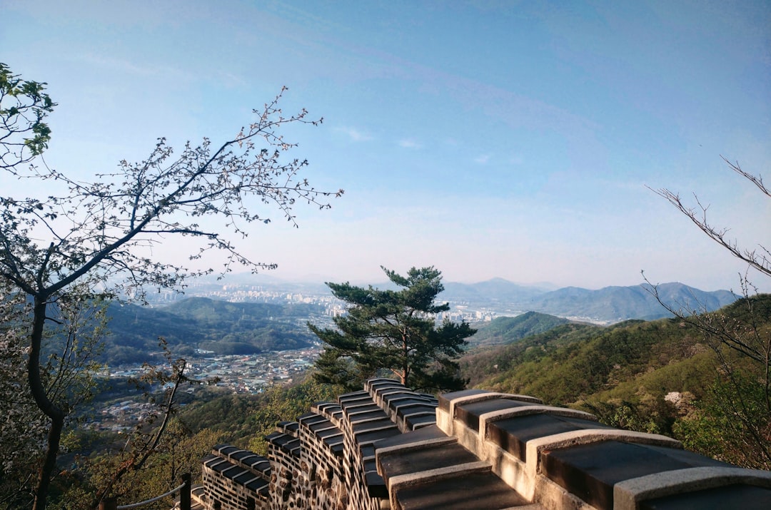 Jeju Island: East vs West — A Complete Coastal Guide