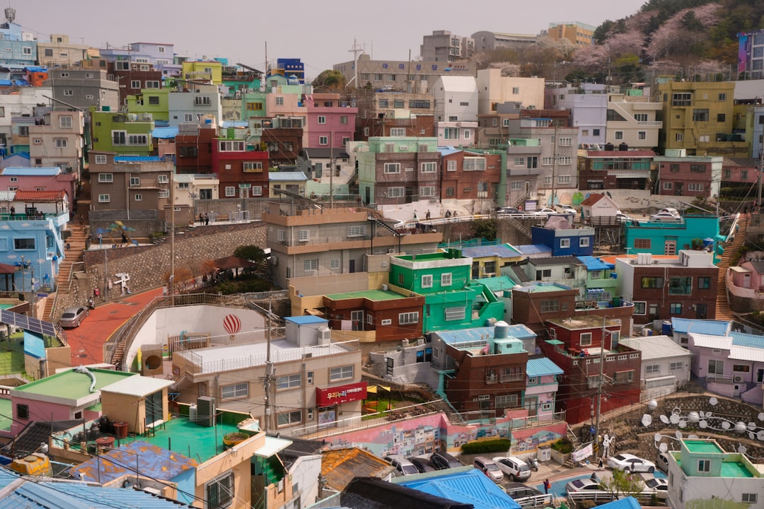 South Korea in July: Monsoon Season, Beach Crowds, and Summer Festivals