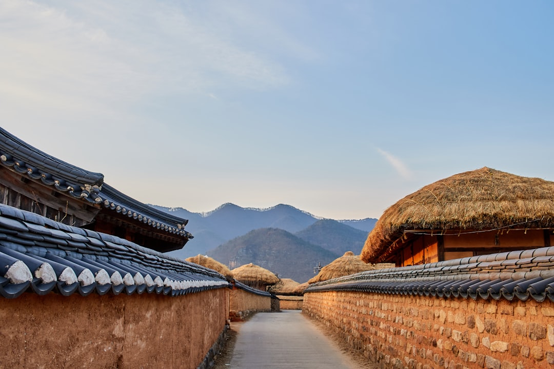 South Korea Practical Guide: Visas, Transport, Money, and Essentials