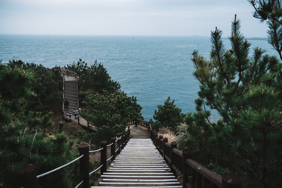 Seongsu-dong: Seoul's Brooklyn