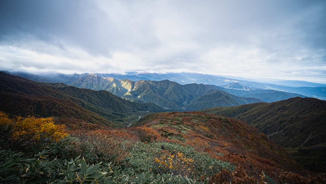 Getting Around Kyoto by Bus: The Practical Guide