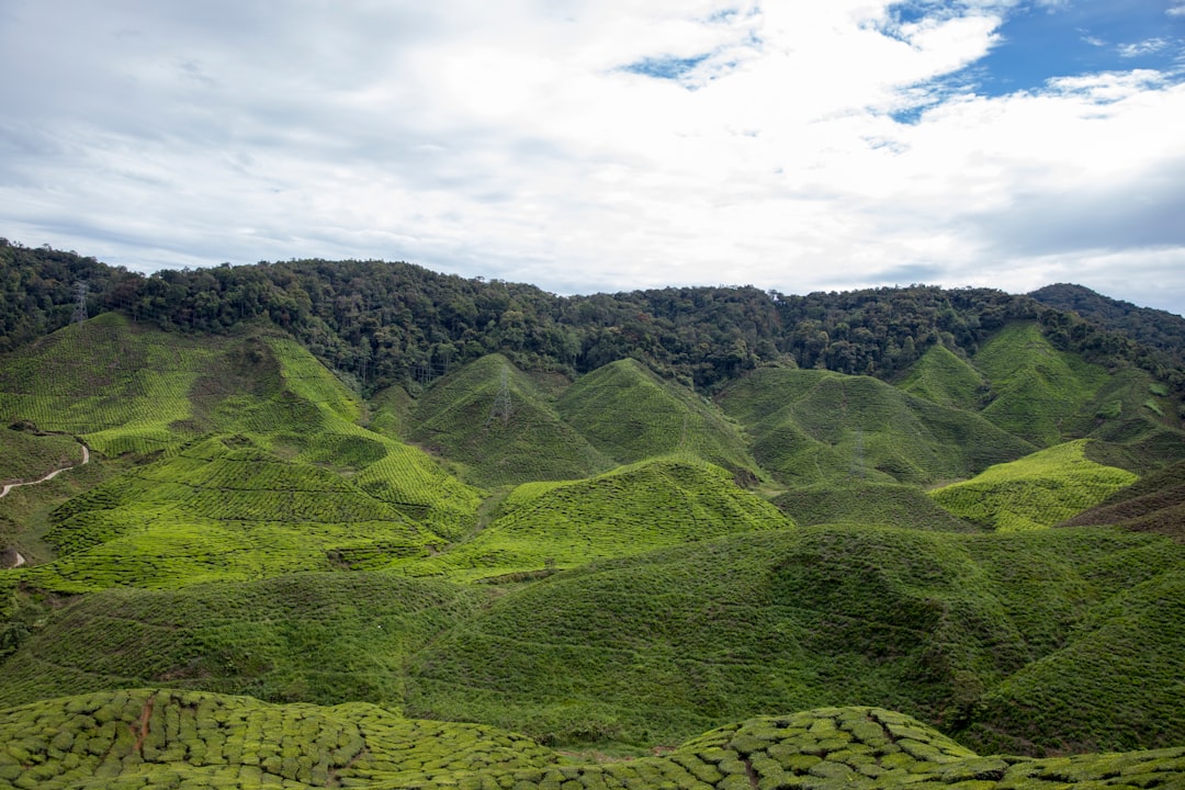 Malaysia in December: Langkawi Peak, Christmas in KL, and the West Coast at Its Best