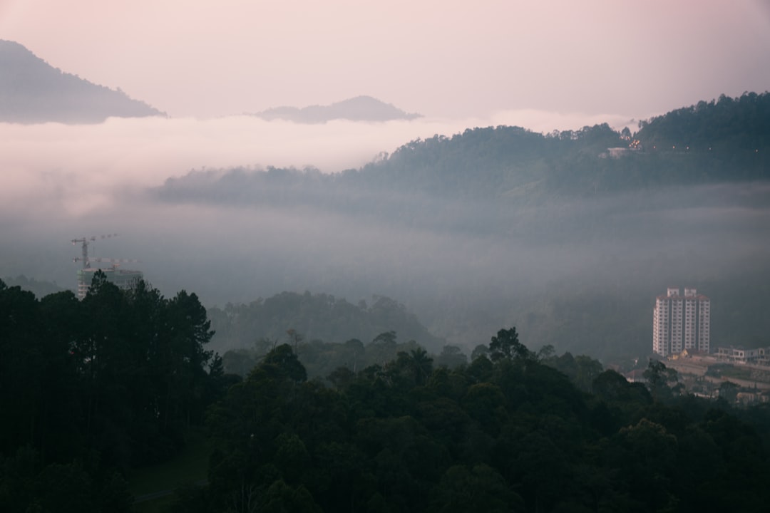 Malaysia in January: East Coast Monsoon, Langkawi in Sun, and Chinese New Year Approaches