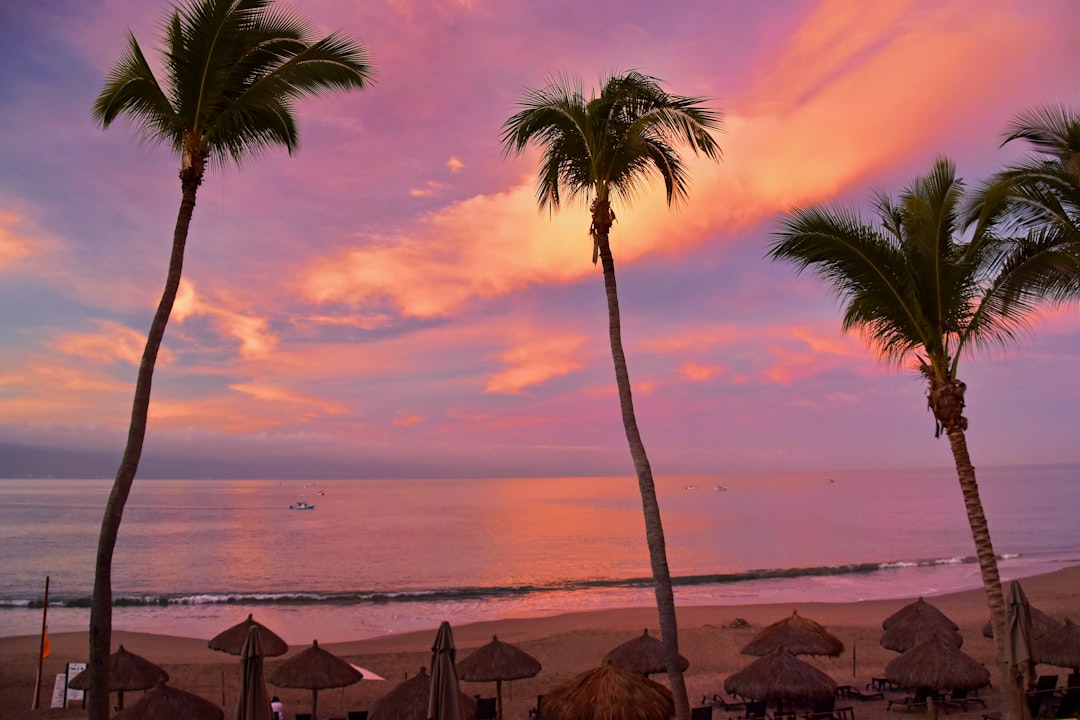 Mexico in August: Peak Rain, US Summer Crowds, and the Pacific Secret Season