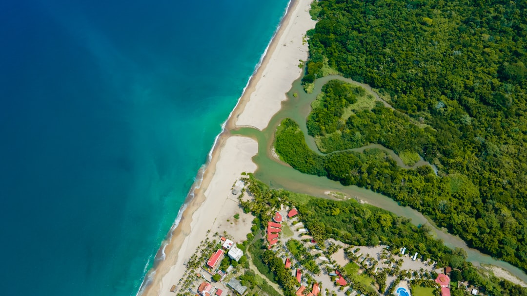 Mexico in February: Carnival, Whale Watching Peak, and the Last Dry Month Before Spring Heat