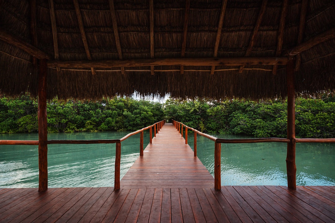 Mexico in March: Spring Break, Monarch Butterflies, and the Final Comfortable Weeks