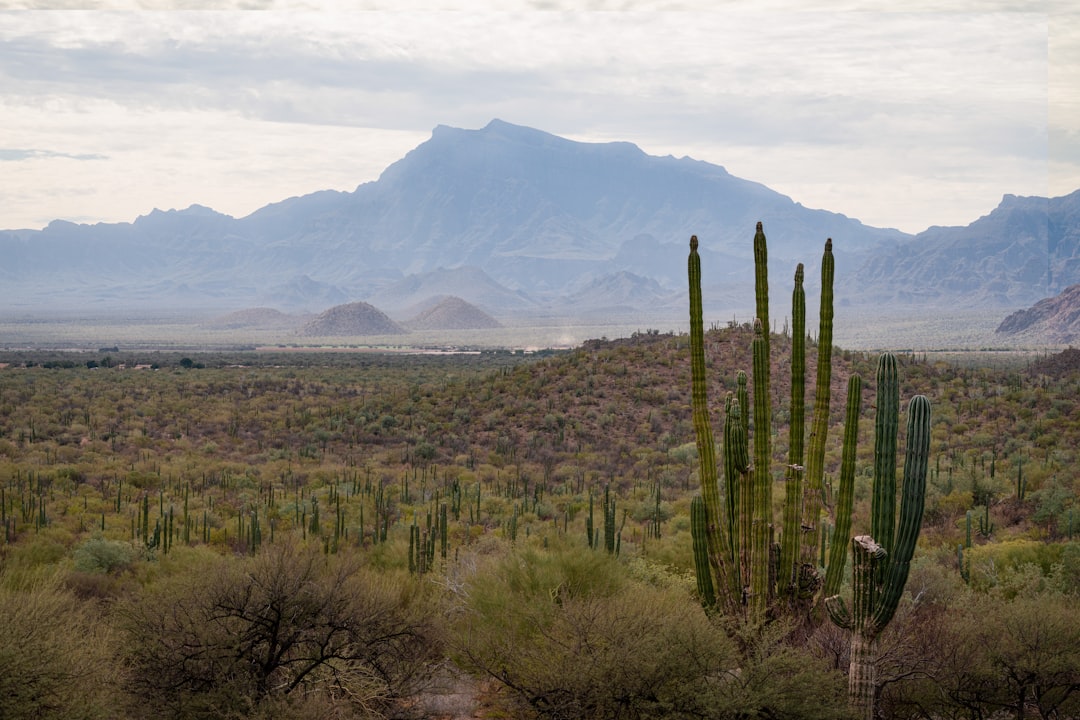 Mexico in September: Independence Month, Minimum Crowds, and the Best Prices of the Year