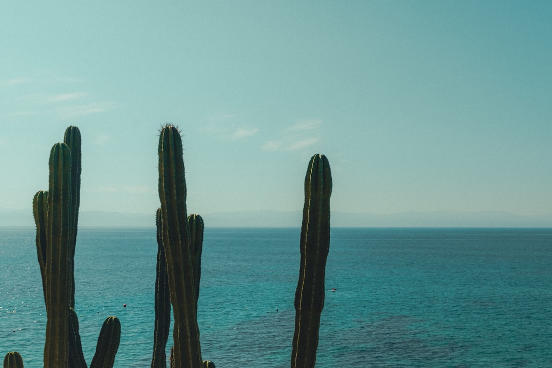 Mexico Travel Budget: How Much Does a Trip to Mexico Cost?