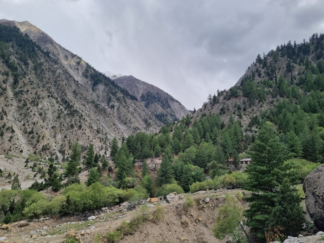 Pakistan in June: Peak Trekking Season, Expeditions on the 8,000m Peaks, and Shandur Polo