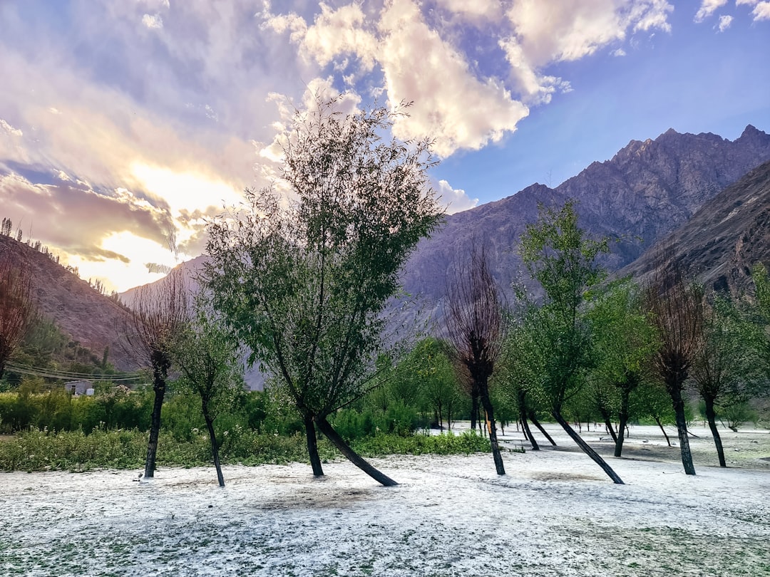 Pakistan in March: Apricot Blossoms in Hunza, Spring Warmth, and Nowruz