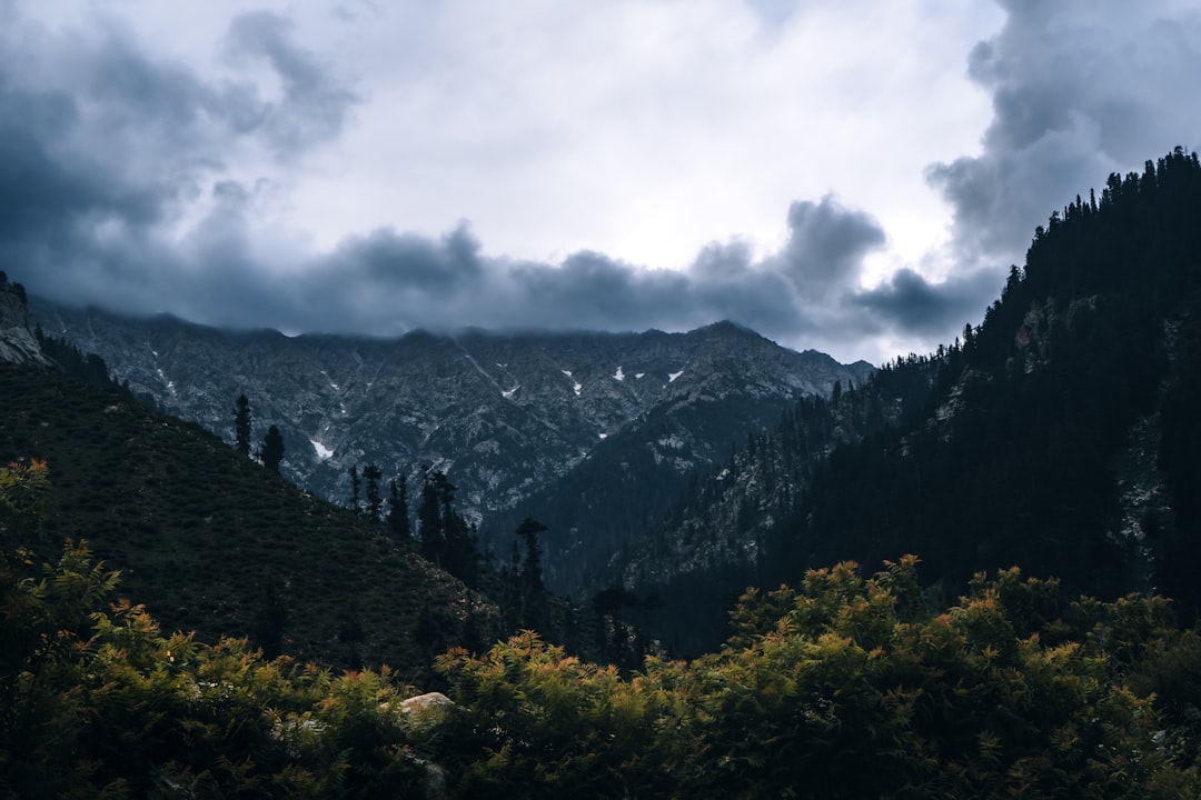 Pakistan in November: Last Autumn Color, Lahore's Best Month, and the Season Closes North