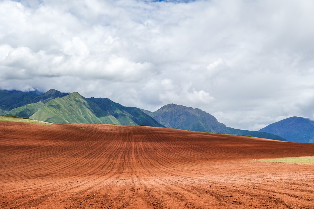 Peru in August: Peak Season Continues, Clear Andes, and Amazon Wildlife Peak