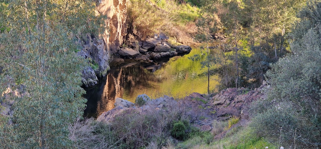 Portugal in August: The Height of Summer, Festivals, and Managing the Peak