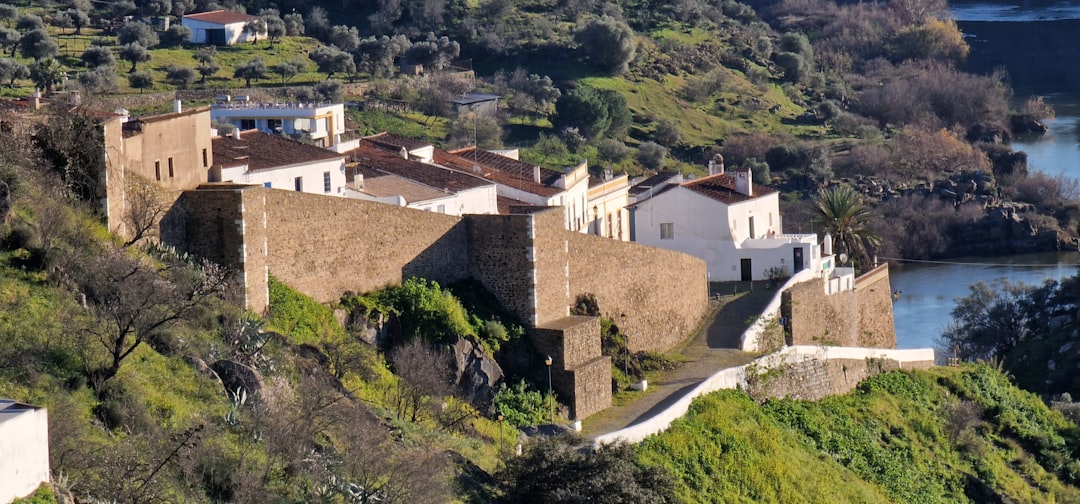 Portugal in February: Carnival in Torres Vedras, Almond Blossoms, and Surf Season