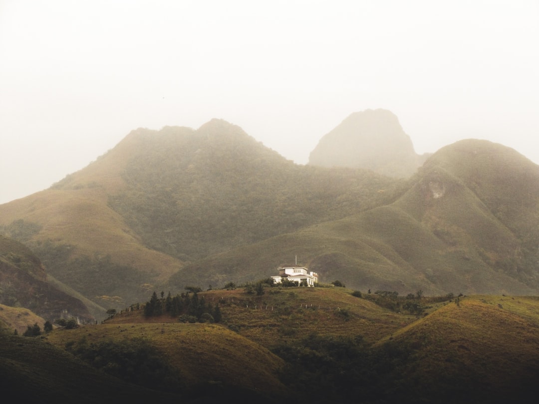 Réunion Food Guide: Carri, Rougail & Creole Cuisine