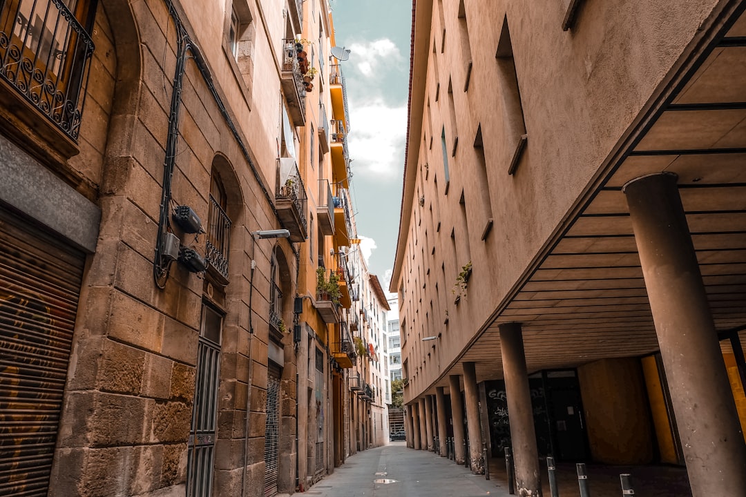 Spain in December: Christmas Markets, New Year in Madrid, and the Canary Islands Winter Peak