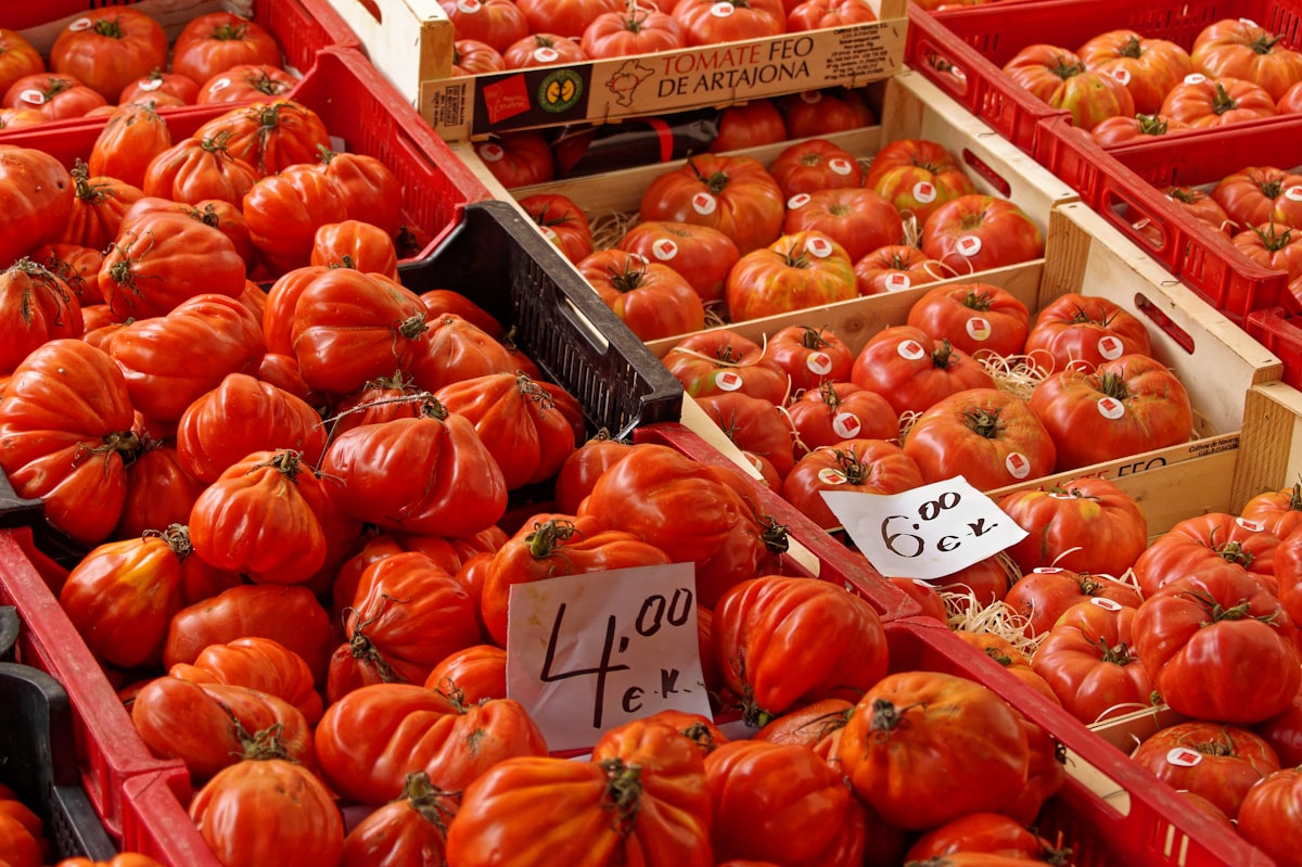 La Tomatina 2026: Complete Guide to Spain's Tomato Festival