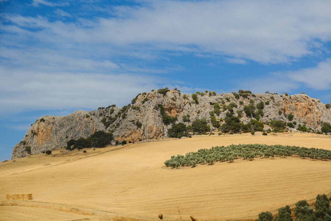 Spain in November: Autumn's Quiet, Truffle Season, and the Canary Islands Peak