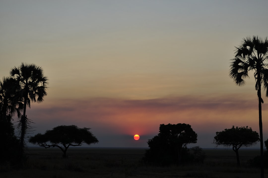 Tanzania in April: Deep Rains, Closed Camps, and the Cheapest Safari Prices of the Year