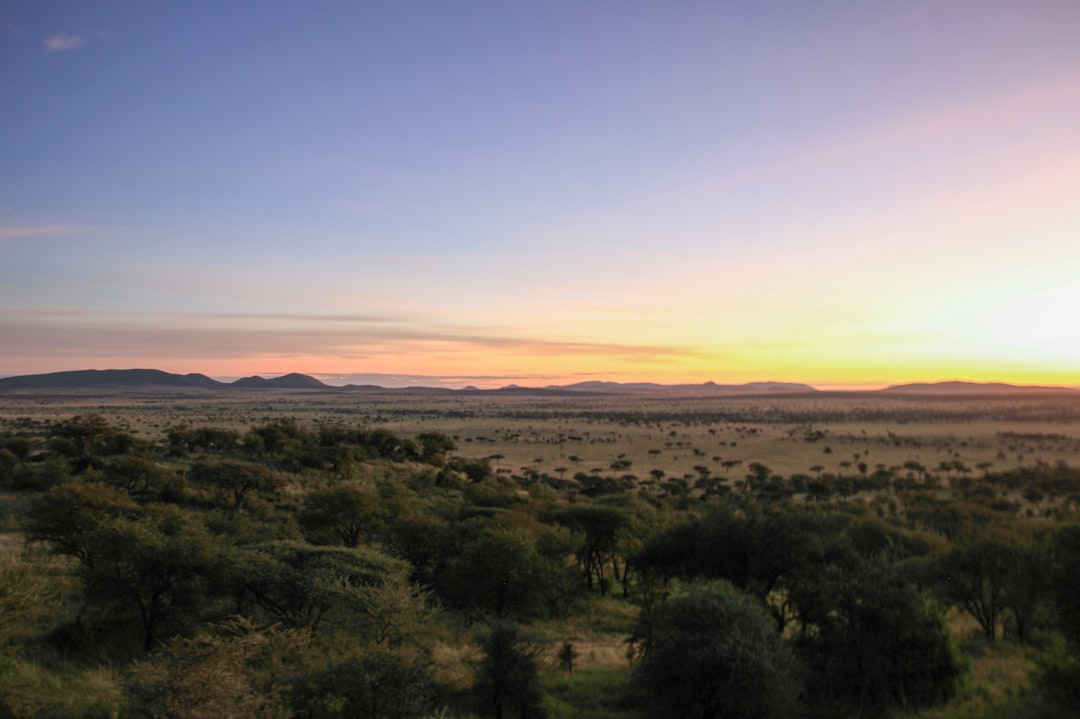 Arusha Travel Guide: Safari Gateway & Northern Tanzania Hub
