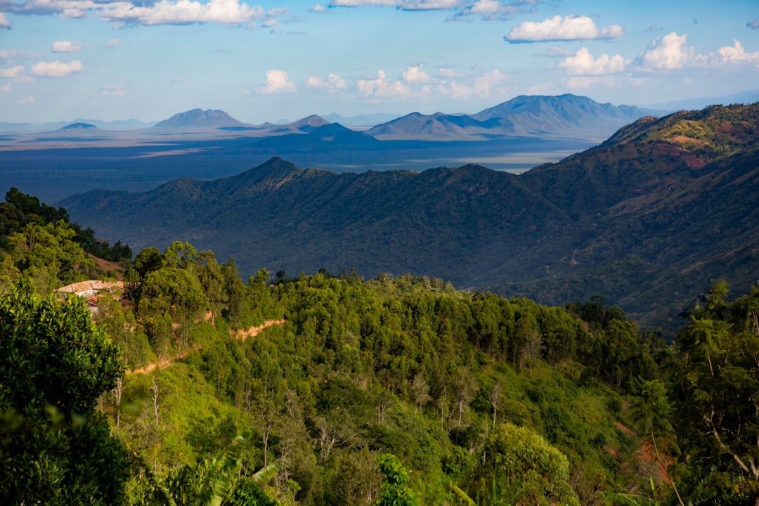 Tanzania in June: Dry Season Begins, Great Migration Moves North, Best Wildlife Viewing