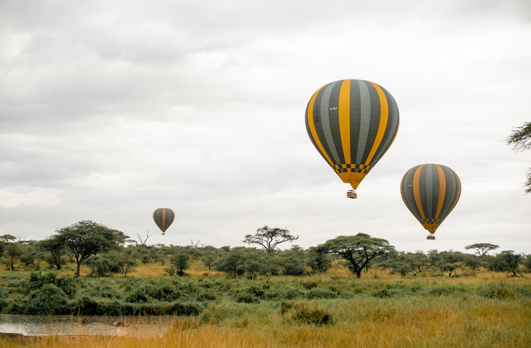 Tanzania in March: Long Rains Arrive, Discounted Safaris, and Zanzibar Transitions