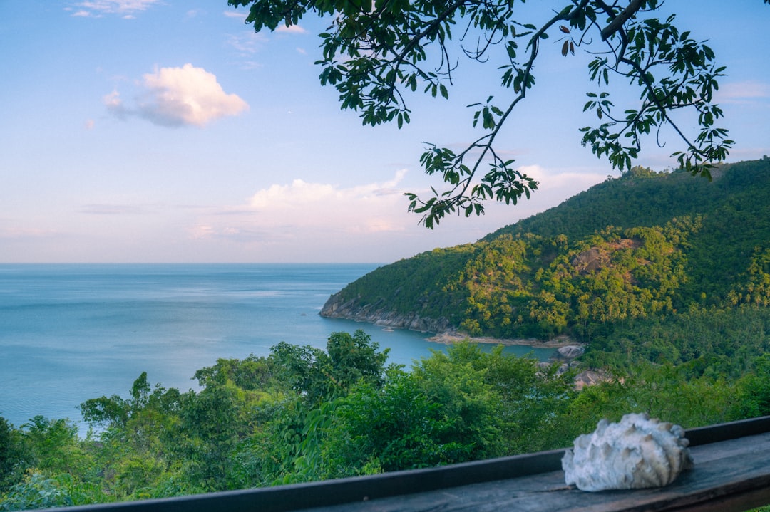 Thailand in September: The Quietest Month, Lowest Prices, and Vegetarian Festival Approaching