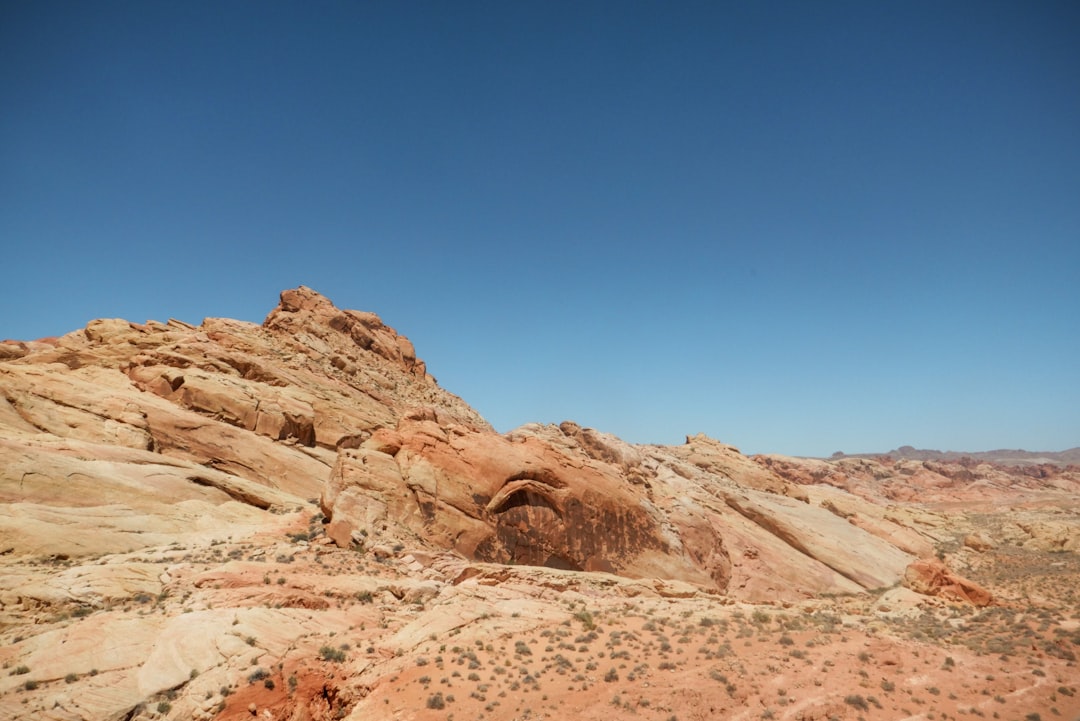 USA in August: Late Summer Peak, State Fairs, and the Pacific Northwest Sweet Spot