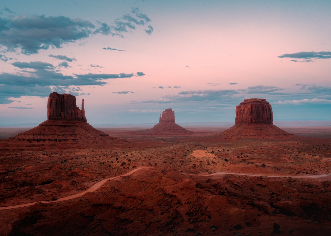 USA in February: Mardi Gras, Desert Blooms, and Peak Ski Season