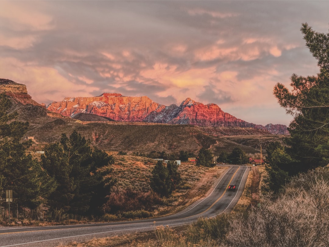 Day Trips from Houston for World Cup 2026