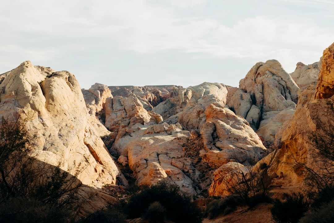 USA in June: National Parks Peak Season, Beach Crowds Arrive, and the Long Day Window