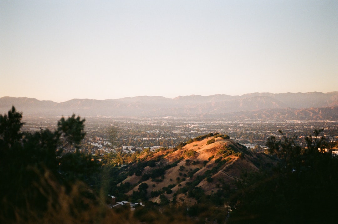 Eating in Los Angeles: A World Cup Visitor's Food Guide