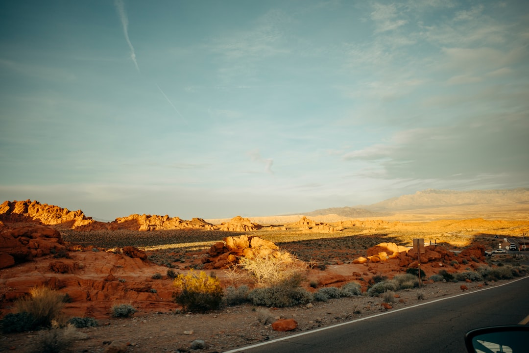 USA in March: Spring Break, Desert Superbloom, and SXSW in Austin