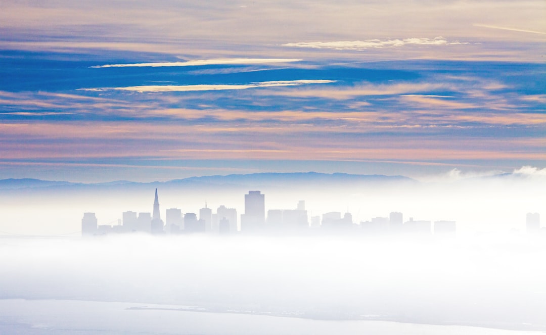 Miami for the World Cup: The Complete Visitor Guide