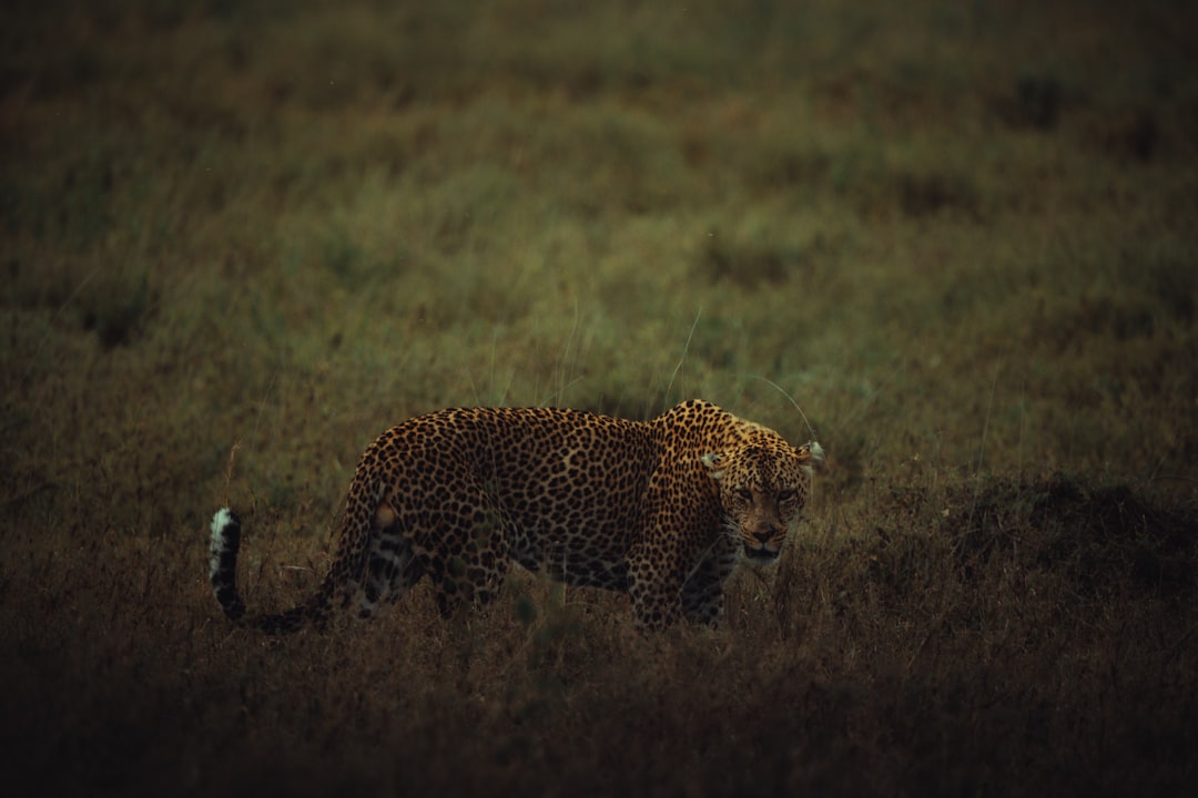Zanzibar Practical Guide: Getting There, Getting Around & What to Budget